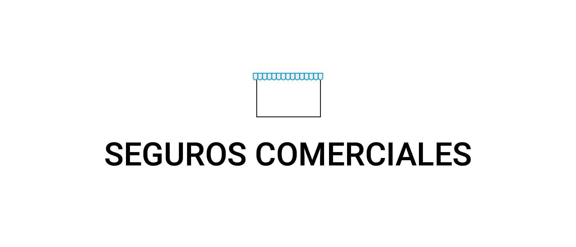 SEGUROS COMERCIALES RDL