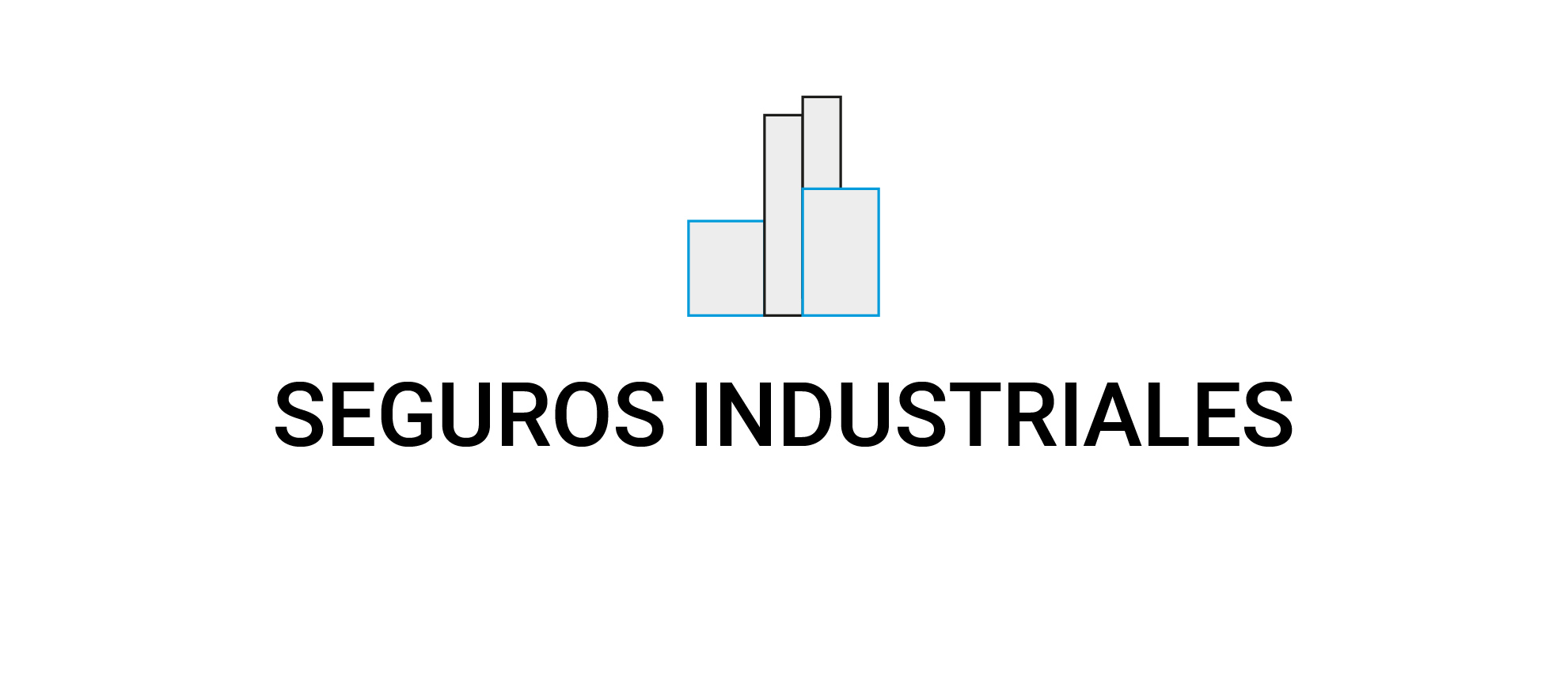 SEGUROS INDUSTRIALES RDL