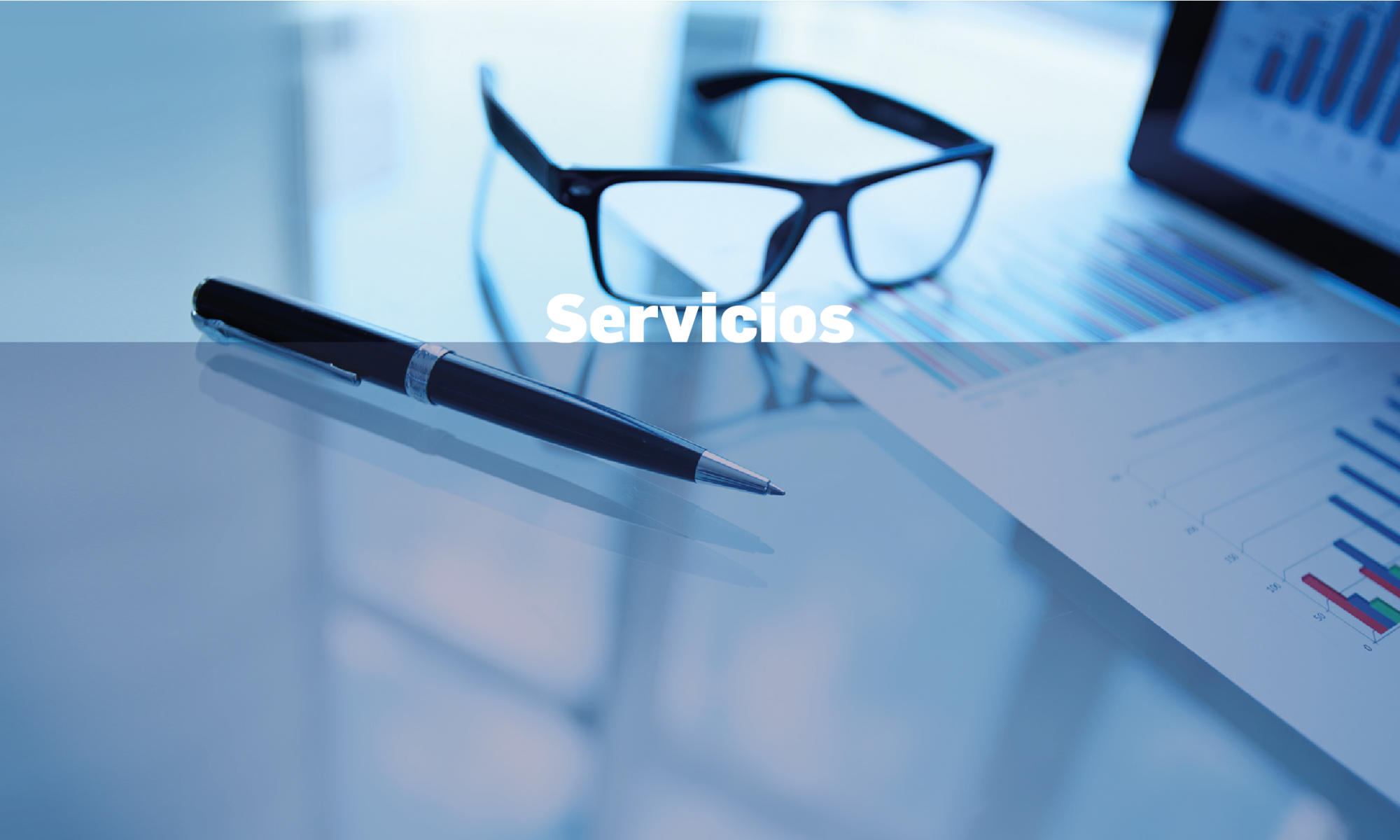 Servicios RDL