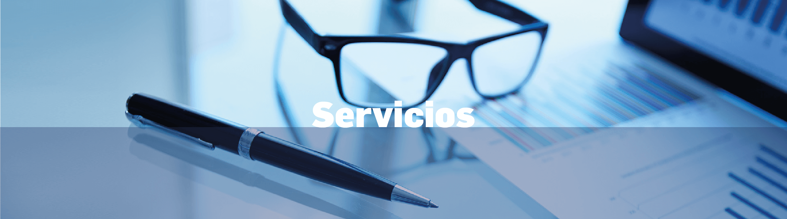 SERVICIOS INICIO